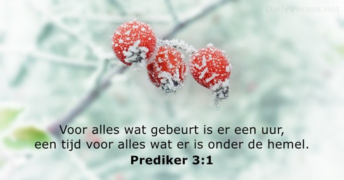 prediker 3:1