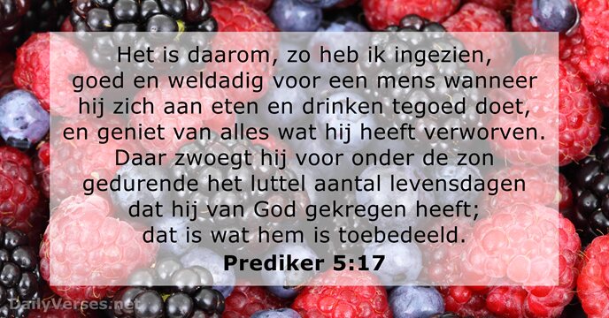 Prediker 5:17