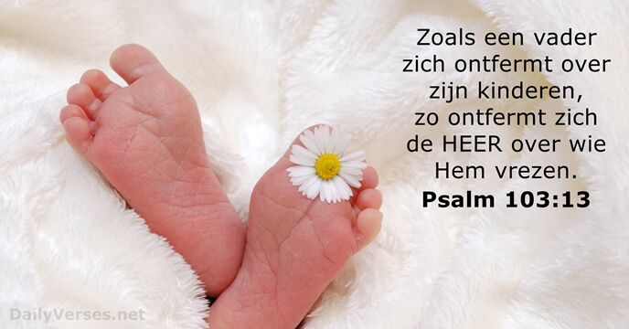 psalmen 103:13