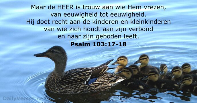 Psalmen 103:17-18