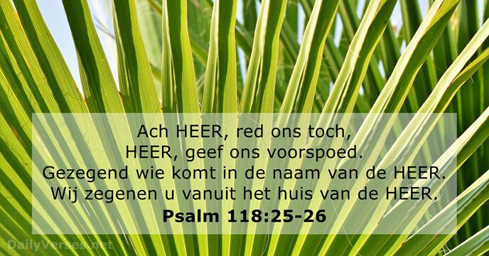 Psalmen 118:25-26