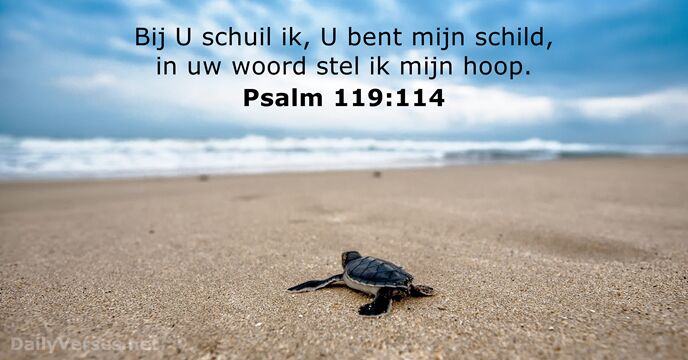 psalmen 119:114