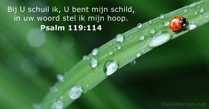 psalmen 119:114