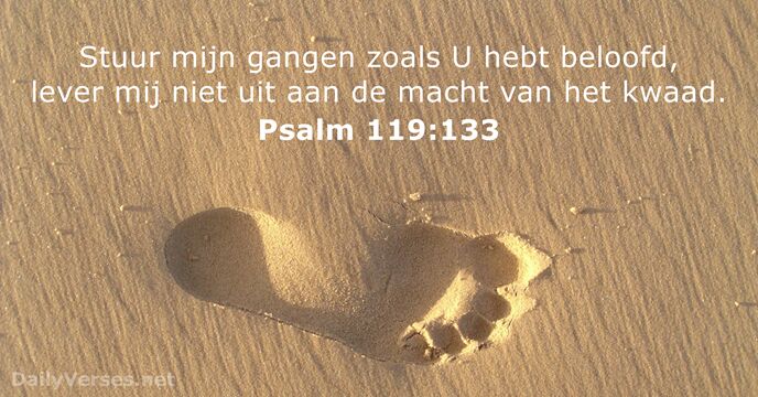 Psalmen 119:133