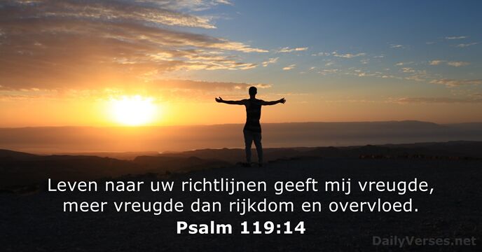 Psalmen 119:14