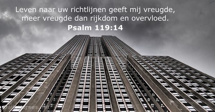 Psalmen 119:14