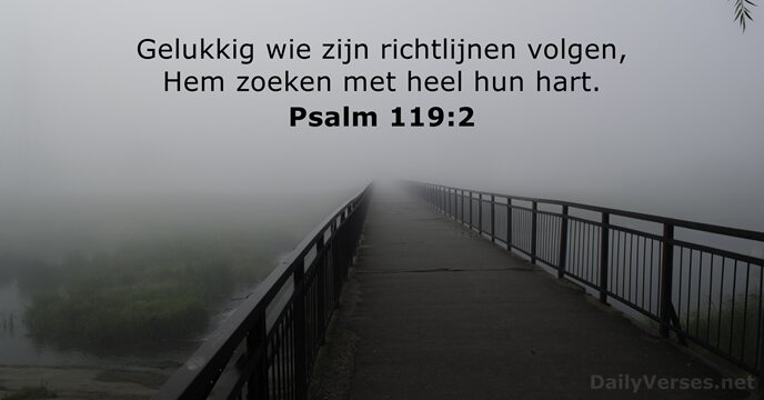 Psalmen 119:2