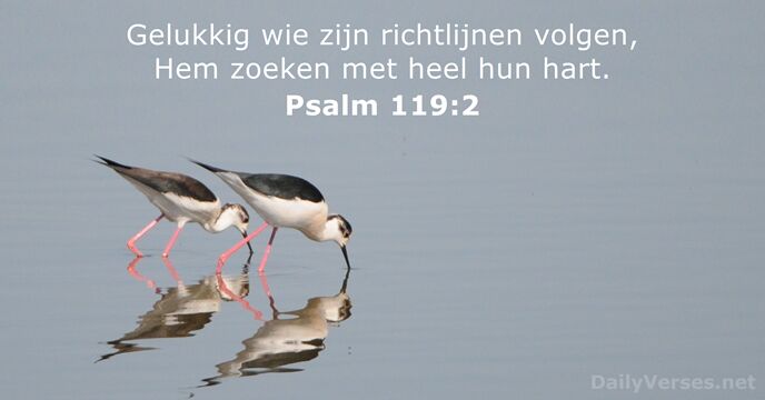 Psalmen 119:2