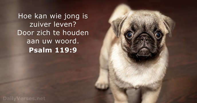 psalmen 119:9