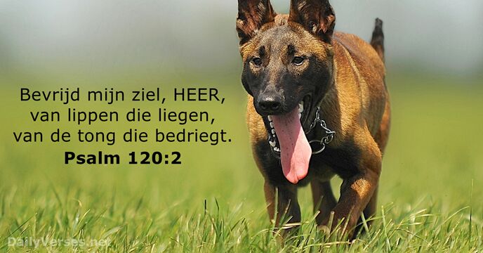 psalmen 120:2