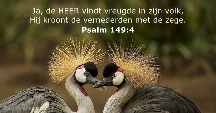Psalmen 149:4