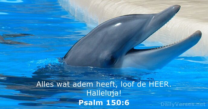 psalmen 150:6
