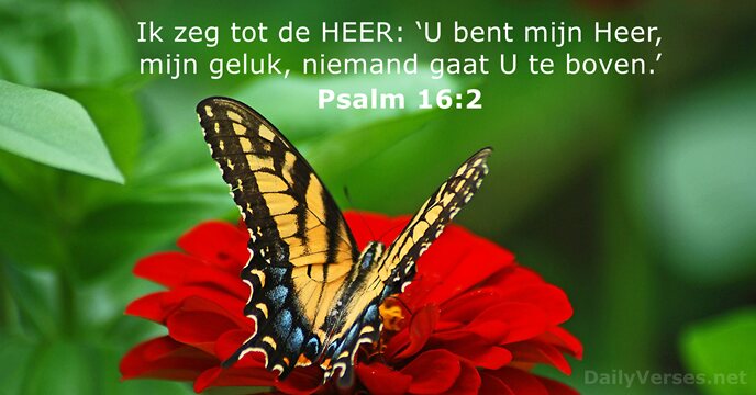 psalmen 16:2