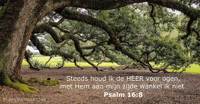 psalmen 16:8