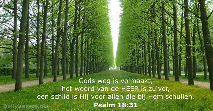 psalmen 18:31
