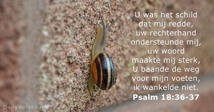 Psalmen 18:36-37