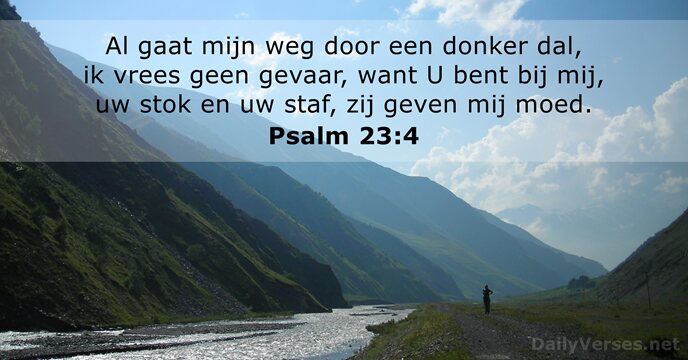 psalmen 23:4