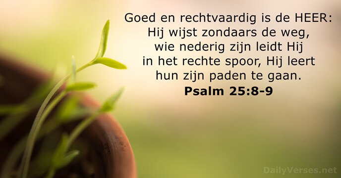 psalmen 25:8-9