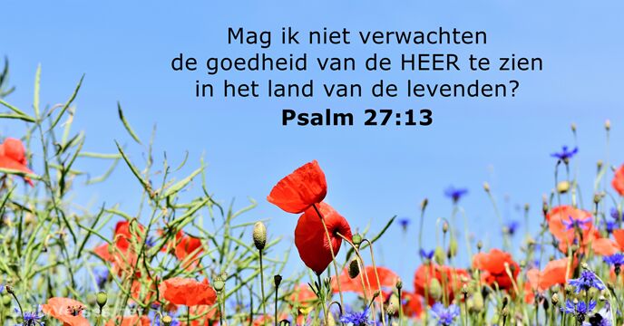 psalmen 27:13