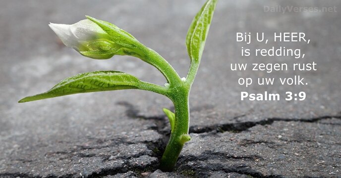 psalmen 3:9