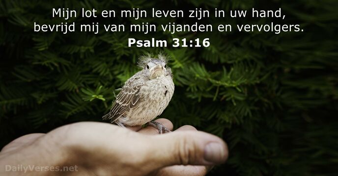 psalmen 31:16