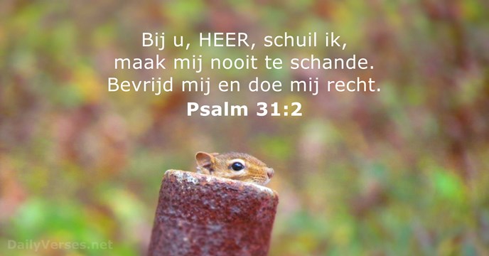 psalmen 31:2