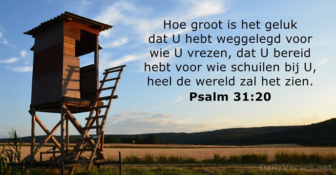 Psalmen 31:20