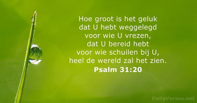 Psalmen 31:20
