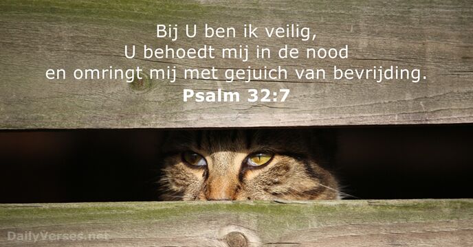 psalmen 32:7
