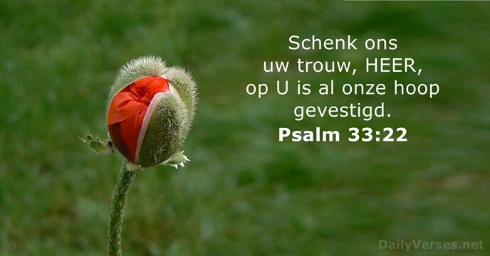 psalmen 33:22