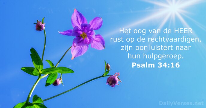 Psalmen 34:16