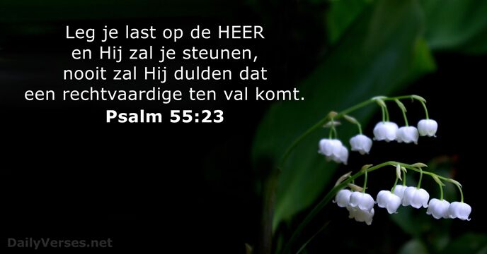 Psalmen 55:23