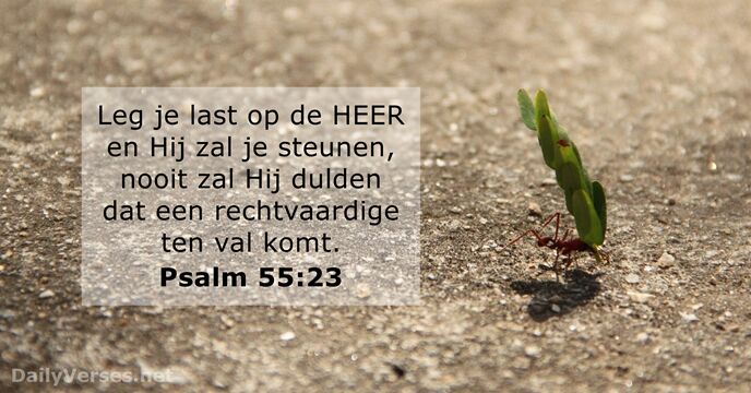 Psalmen 55:23