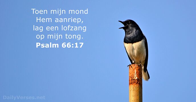 psalmen 66:17