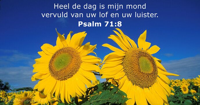 Psalmen 71:8