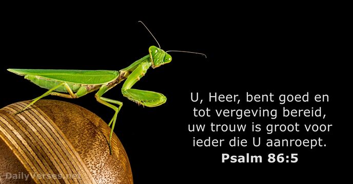 psalmen 86:5