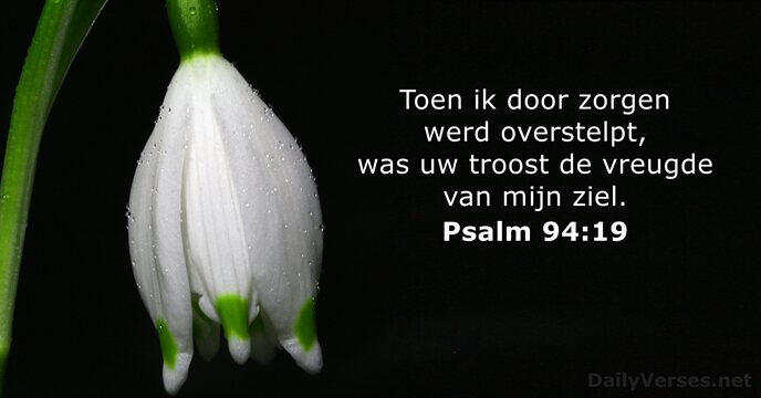Psalmen 94:19