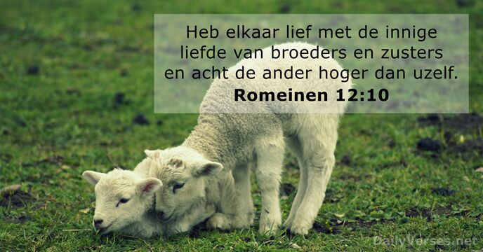 Romeinen 12:10
