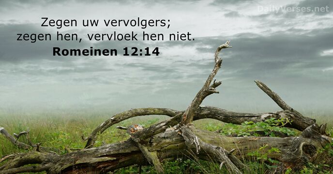 romeinen 12:14