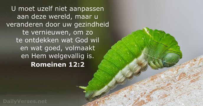 Romeinen 12:2