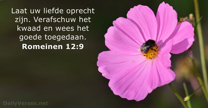 romeinen 12:9