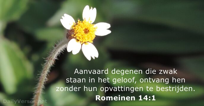 romeinen 14:1