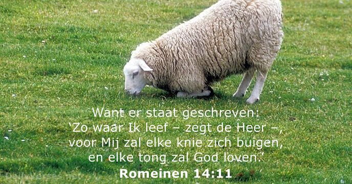 Romeinen 14:11