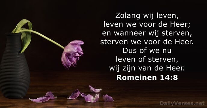 Romeinen 14:8