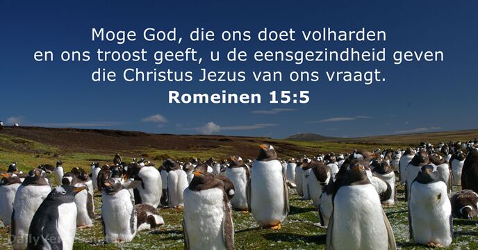 romeinen 15:5