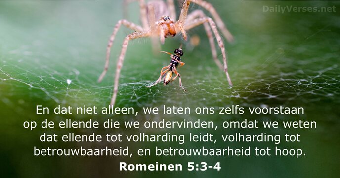 romeinen 5:3-4