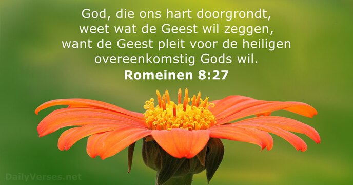 Romeinen 8:27