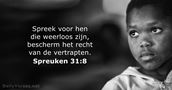 spreuken 31:8