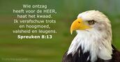 spreuken 8:13