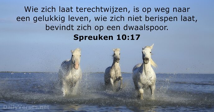 spreuken 10:17